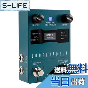 �y���������zFLAMMA Guitar Pedals Reverb Delay Modulation Preamp Cabinet Simulation Digital Stereo Electric Guitar Pedal �F�FFS21 Drum Loop