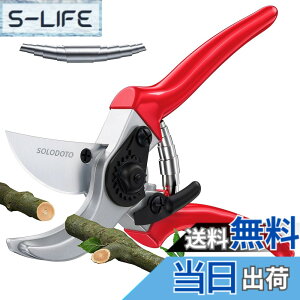 �y���������zSOLODOTO RIBEN PRUNING SHEARS �F�F�ԁA�T�C�Y�F20CM
