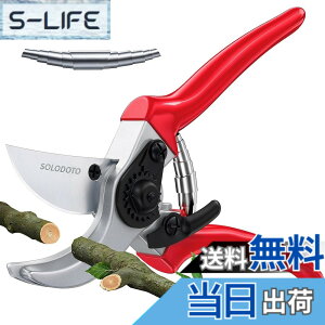 �y���������zSOLODOTO RIBEN PRUNING SHEARS �F�F2026�A�b�v�O���[�h��