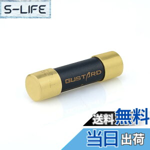 �y���������zGUSTARD HIFI�����p�q���[�Y �i�m�����n�C�G���h�q���[�Y X18/U16/U18/C16/C18/X16/A18/H16/N18/N18PRO�ɑΉ� 630mA gustard�q���[�Y fuse 630mA �T�C�Y�F630mA