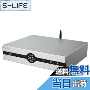 �y���������zGustard Audalytic DR70 R2R DAC �F�F�V���o�[