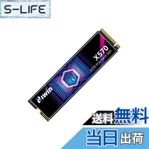 �y���������zBIWIN Black Opal M.2 SSD ���� �T�C�Y�F2TB