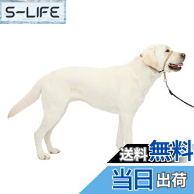 【送料無料】PetSafe（ペットセーフ） ジェントルリーダー 引っ張り防止 ヘッドカラー 犬用 散歩トレーニング 色：フォーン、サイズ：L