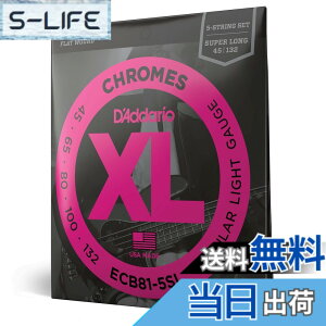 �y���������zD'Addario �_�_���I �G���L�x�[�X�� �t���b�g���E���h (���K�A���i) �F�F5���A�T�C�Y�F.045-.132 (Super Long)