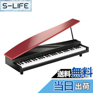 �y���������zKORG MICROPIANO �}�C�N���s�A�m �~�j����61�� �F�F���b�h