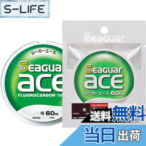 �y���������z�V�[�K�[(Seaguar) �n���X �V�[�K�[ �G�[�X 60m 10�� �F�F�N���A�A�T�C�Y�F10��