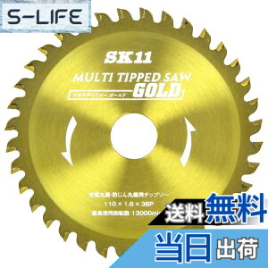 �y���������zSK11 (�G�X�P�[11) MULTI�`�b�v�\�[GOLD �[�d�ۋ��E�h����ۋ��p �F�FGold�A�T�C�Y�F110X36P