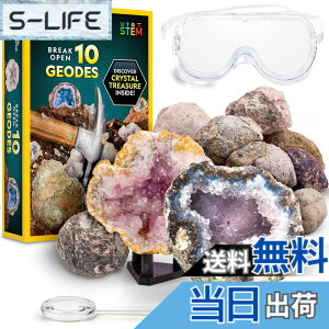 �y���������zNATIONAL GEOGRAPHIC Break Open Geodes�T�C�G���X�L�b�g �| �S�[�O���A�ڍׂȊw�K�K�C�h�A�f�B�X�v���C�X�^���h�t�� - ������N��̍z���w��n���w���D�ƂɍœK��STEM�T�C�G���X�M�t�g