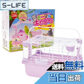 【送料無料】ミニマルランド ミニマルキャリー 色：マルチカラー、サイズ：23L x 18W x 16H cm