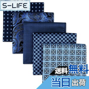 �y���������z(�V�b���N�X�ƃE�C���O) Shlax&Wing 5�{�����Y�|�P�b�g�`�[�t�Z�b�g�r�W�l�X���܃V���N �F�FSet11�A�T�C�Y�FSet11