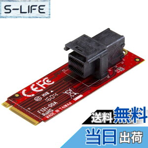 �y���������z�X�^�[�e�b�N.com PCI Express�Ή� M.2 SSD �R���g���[���J�[�h �T�C�Y�F1 �|�[�g