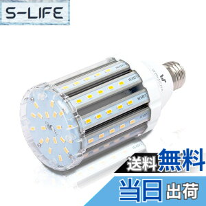 �y���������zlow watt led light bulbs �F�F25W WW�A�T�C�Y�F25W