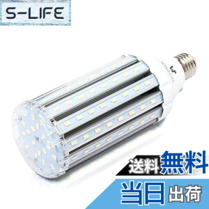 �y���������zhigh watt led light bulbs �F�F37WCold�A�T�C�Y�F35W