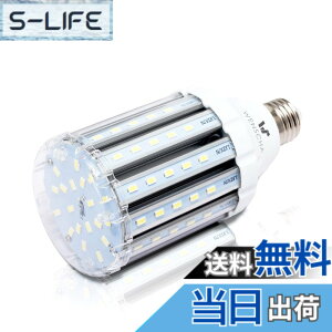 �y���������zlow watt led light bulbs �F�F25W CW�A�T�C�Y�F25W