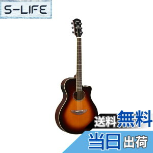 �y���������z���}�n �G���A�R�M�^�[ APX600 �F�F�I�[���h�o�C�I�����T���o�[�X�g(OVS)