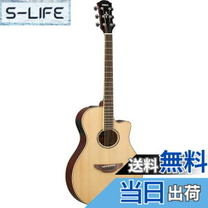 �y���������z���}�n �G���A�R�M�^�[ APX600 �F�F�i�`������(NT)�A�T�C�Y�F102.2 x 38.4 x 9 cm