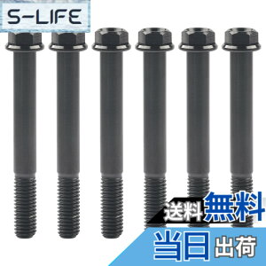 �y���������zRuifu M8x15 20 25 30 35 40 45 50 55 60 65mm �I�[�g�o�C ���������t�����W �Z�p�{���g �s�b�` 1.25mm 6���� �F�F�u���b�N�A�T�C�Y�FM8x65mm