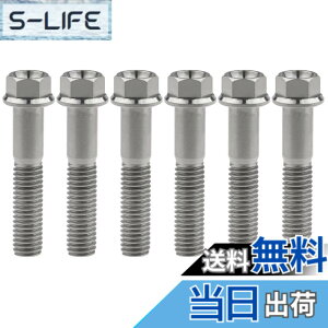�y���������zRuifu M8x15 20 25 30 35 40 45 50 55 60 65mm �I�[�g�o�C ���������t�����W �Z�p�{���g �s�b�` 1.25mm 6���� �F�F�`�^���A�T�C�Y�FM8x40mm