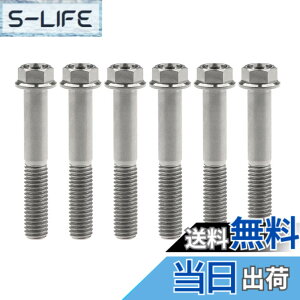 �y���������zRuifu M8x15 20 25 30 35 40 45 50 55 60 65mm �I�[�g�o�C ���������t�����W �Z�p�{���g �s�b�` 1.25mm 6���� �F�F�`�^���A�T�C�Y�FM8x50mm