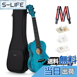 �y���������zEnya �}�z�K�j�[�E�N���� �F�F�̐F�R���T�[�g�E�N�����A�T�C�Y�F�R���T�[�g