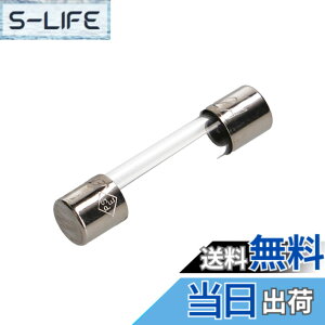�y���������z�G�[����(amon) �ǃq���[�Y 0.5A/1A/2A/3A/5A/10A/15A/20A/25A/30A/�Z�b�g �F�F2A(5�{��)�A�T�C�Y�F2A