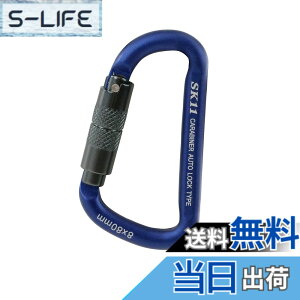 �y���������zSK11 �A���~�J���r�i �F�F�u���[�A�T�C�Y�F8x80mm