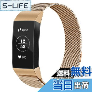 �y���������zVancle �R���p�`�u�� Fitbit Charge 3 �o���h/Charge 4 �o���h �~���l�[�[���[�v�o���h �����x���g �}�O�l�b�g���b�N�t�� �F�F���[�Y�S�[���h�A�T�C�Y�FLarge