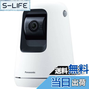 �y���������z�p�i�\�j�b�N WWA�Ή� �����J���� SECURITY_CAMERA �F�F�z���C�g�A�T�C�Y�F1�� (x 1)
