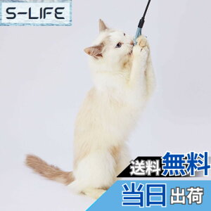 �y���������znecoco ���U�[�L����炵 �F�F�}���`�J���[�A�T�C�Y�FM