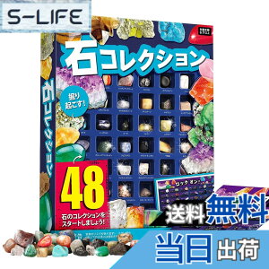 �y���������zXXTOYS �z�ΕW�{48�� �i�V���i���W�I�O���t�B�b�N�V�R�z�� ��΂������� ��ΕW�{ �N���X�}�X �v���[���g ���b�N���~�l���� �R���N�V���� �W�F���X�g�[�� �n���Ȋw�L�b�g 48�Z