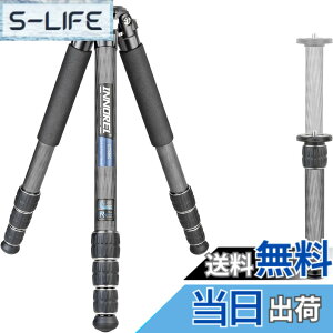 �y���������zINNOREL CT-�V���[�Y �J�����O�r �J�[�{���O�r ��჌�t�O�r �F�F�O�r�̂݁A�T�C�Y�FCT85C