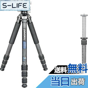�y���������zINNOREL CT-�V���[�Y �J�����O�r �J�[�{���O�r ��჌�t�O�r �F�F�O�r�Ɖ_��L�b�g�A�T�C�Y�FCT75C