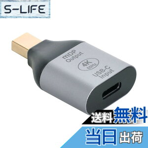 �y���������zCablecc USB-C Type C ���X �\�[�X����~�j Displayport DP �V���N HDTV �A�_�v�^�[ 4K 60hz 1080p �^�u���b�g & �d�b & �m�[�g�p�\�R���p �F�FSilver USB-C Female to MINI-DP Male
