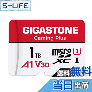 �y���������zGIGASTONE �}�C�N��sd�J�[�h 1TB-2-1 Core Group �F�F1TB Gaming Plus 1���Z�b�g�A�T�C�Y�F1TB
