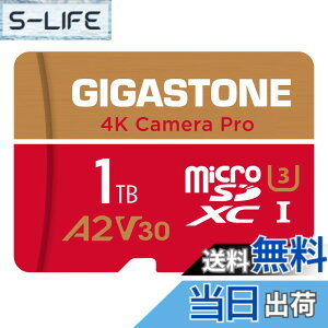 �y���������zGIGASTONE �}�C�N��sd�J�[�h 1TB-4-1 Core Group �F�F1TB Camera Pro 1���Z�b�g�A�T�C�Y�FPro Series