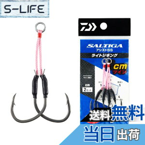 �y���������z�_�C��(DAIWA) �\���e�B�K�A�V�X�gSS ���C�g�W�M���O �c�C�� �e�� �F�F�V���o�[�A�T�C�Y�F1cm ��3/0