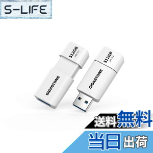 �y���������zUSBdrive Z40&Z60 1PK,5PK section1 �F�F����A�T�C�Y�F512GB 2�Z�b�g