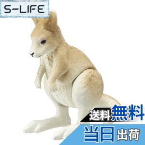 ���i�摜