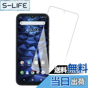 �y���������z�K���X�t�B���� �S�ʕی� �����K���X �t���ی�t�B���� �F�F1�� DIGNO BX2