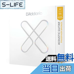 �y���������zD'Addario �_�_���I �A�R�[�X�e�B�b�N�M�^�[�� XS �R�[�e�B���O�� �t�H�X�t�@�[�u�����Y XSAPB �F�F�u�����Y�A�T�C�Y�FLight Top/Medium Bottom .012-.056