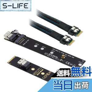 �y���������zXiwai NGFF M-Key NVME�I�X-���X�����P�[�u��40cm�ASFF-8654�R�l�N�^�A���C���{�[�hSSD 2280/22110�p �F�FBlack