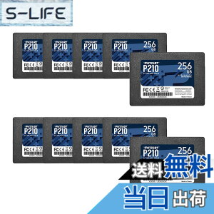 �y���������zPatriot P210 Parent Solid State Drive SSD �F�F�u���b�N�A�T�C�Y�F256GB 10 Pack