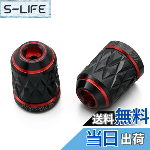 �y���������z�f�C�g�i(Daytona) PREMIUM ZONE(�v���~�A���]�[��) �o�C�N�p �o�[�G���h TECHNO/BRICK/KIRIKO/�X�N���b�` �F�F���b�h�A�T�C�Y�F�z���_(M6)