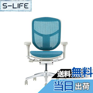 �y���������z�G���S�q���[�}��2(ergohuman2) �I�t�B�X�`�F�A ENJOY �G���W���C �F�F���b�V��:�O���[ / �t���[��:�O���[�A�T�C�Y�F���[�^�C�v