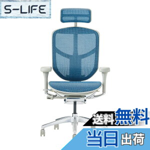 �y���������z�G���S�q���[�}��2(ergohuman2) �I�t�B�X�`�F�A ENJOY �G���W���C �F�F���b�V��:�u���[ / �t���[��:�O���[�A�T�C�Y�F�n�C�^�C�v