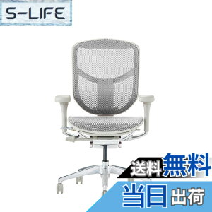 �y���������z�G���S�q���[�}��2(ergohuman2) �I�t�B�X�`�F�A ENJOY �G���W���C �F�F���b�V��:�z���C�g / �t���[��:�O���[�A�T�C�Y�F���[�^�C�v
