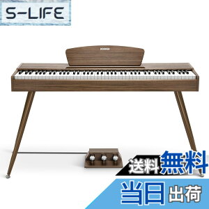 �y���������zDonner �d�q�s�A�m 88���� DDP-80 �F�F�E�H�[���i�b�g�A�T�C�Y�FDDP-80