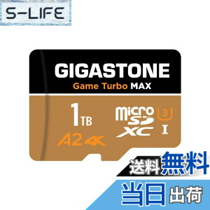 �y���������zGIGASTONE �}�C�N��sd�J�[�h Blackgold 2026 Group 1 �F�F1TB Game Turbo MAX 1-Pack
