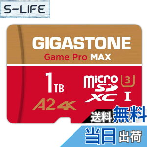 �y���������zGIGASTONE �}�C�N��sd�J�[�h Redgold-64-4-1-Group �F�F1TB Game Pro Max 1���Z�b�g�A�T�C�Y�F1TB Game Pro Max 1���Z�b�g
