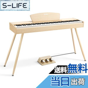 �y���������zDonner �d�q�s�A�m 88���� DDP-80 �F�F�I�[�N�x�[�W���A�T�C�Y�FDDP-80